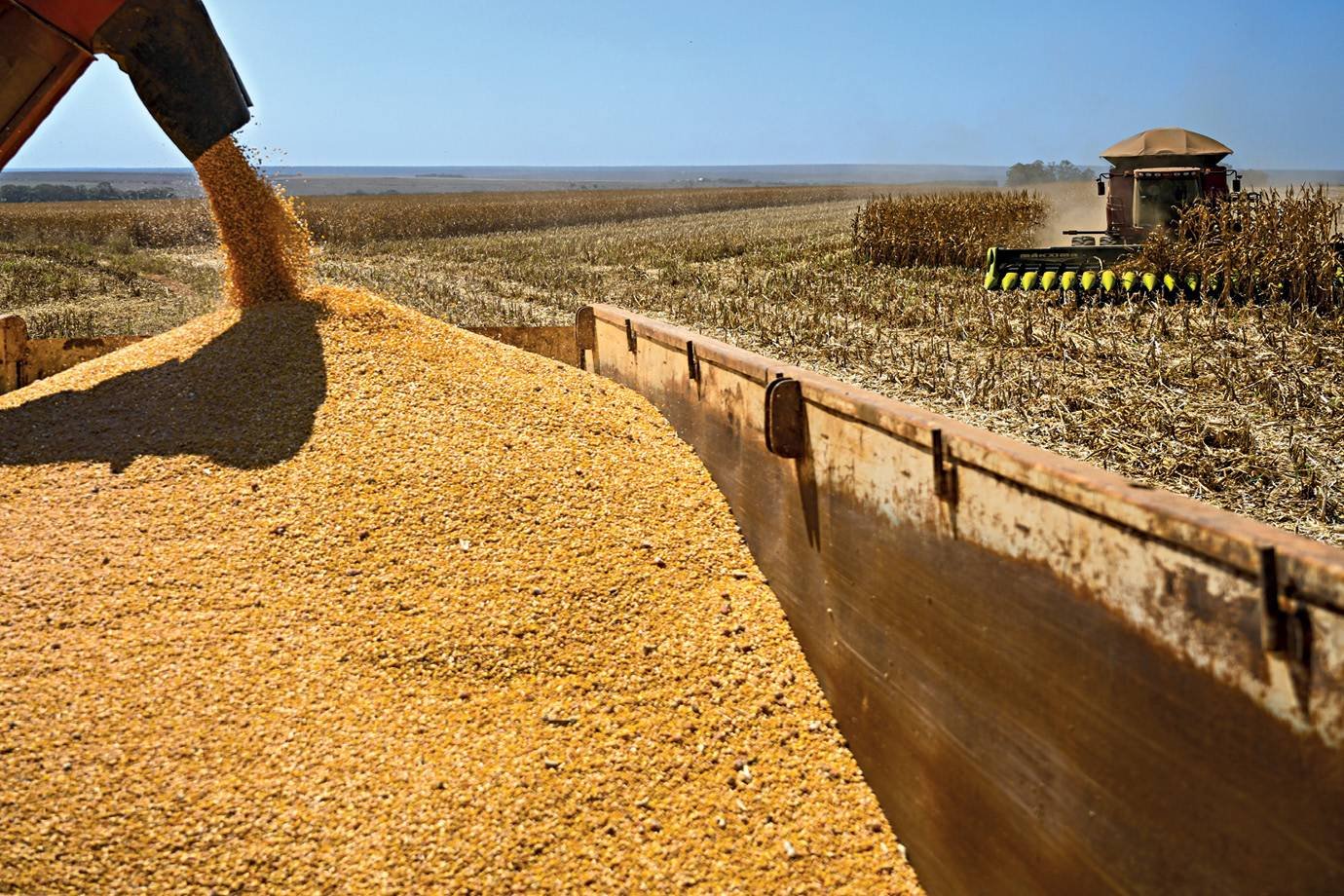 O El Niño vem aí e deve mexer com o milho, o arroz — e até a cerveja