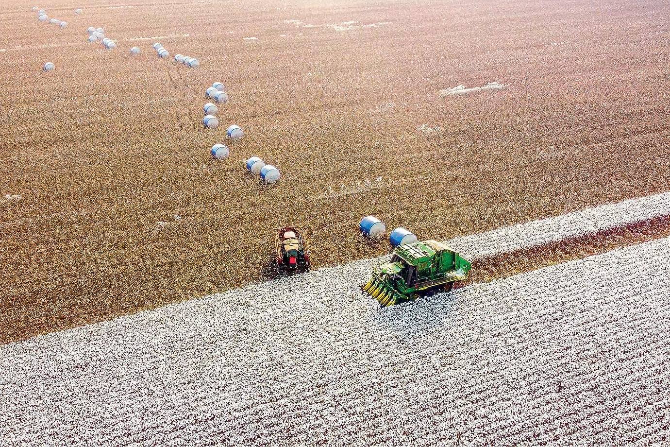 A BrasilAgro mudou a estratégia para 2026/27 — e o El Niño tem a ver com isso