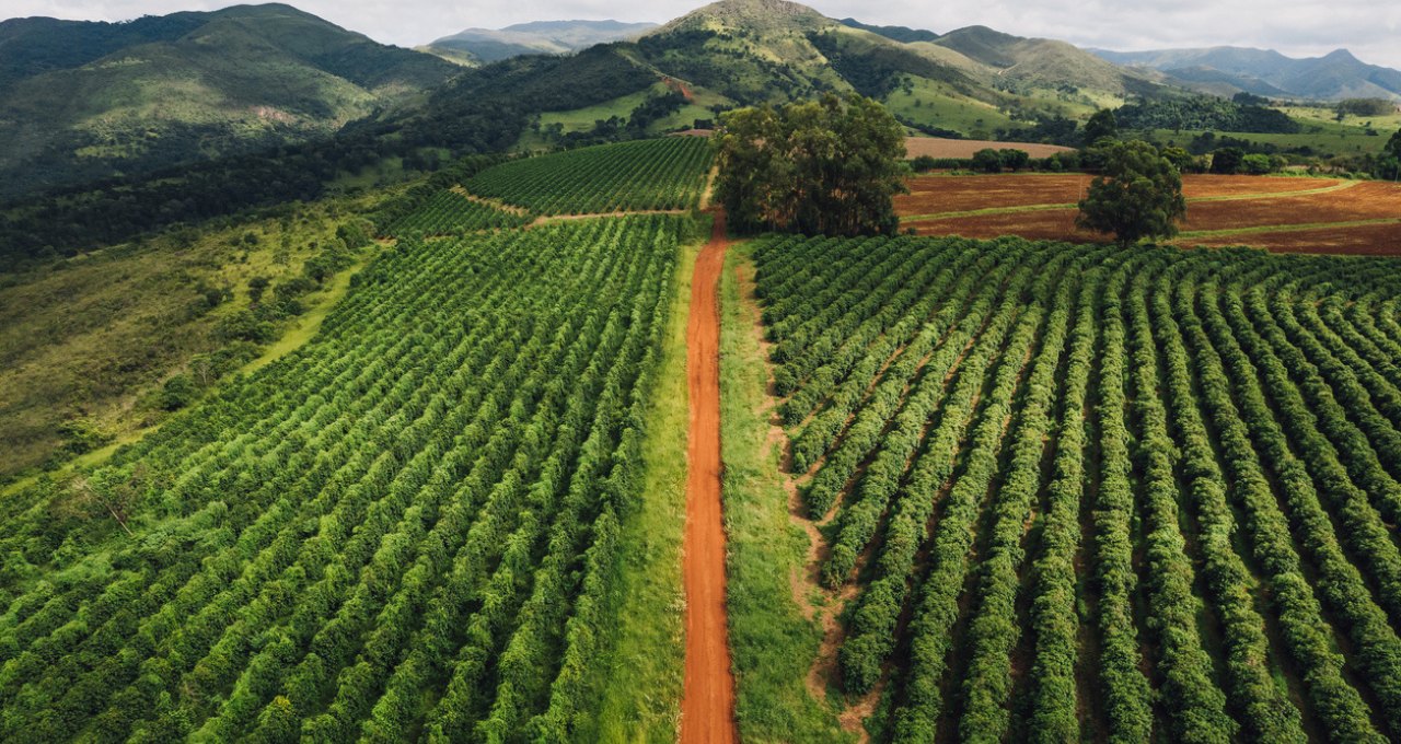 Banco do Brasil (BBAS3) em alerta: Pedidos de recuperação judicial no agronegócio saltam 22%, aponta Serasa