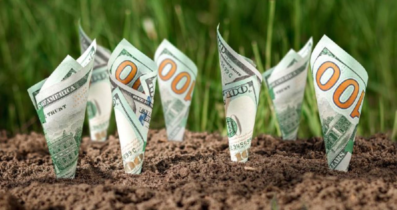 Fundo imobiliário do agronegócio recebe R$ 48,8 milhões por recompra de imóveis; veja os detalhes