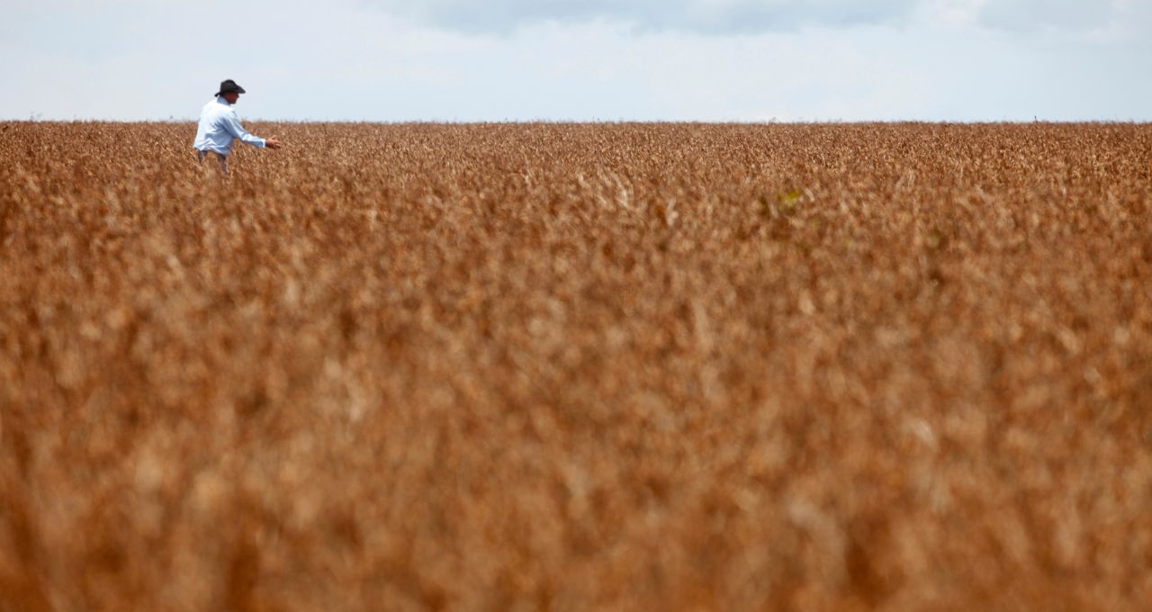 Área tratada com defensivos agrícolas sobe 5% no Brasil, enquanto valor do mercado avança 11%