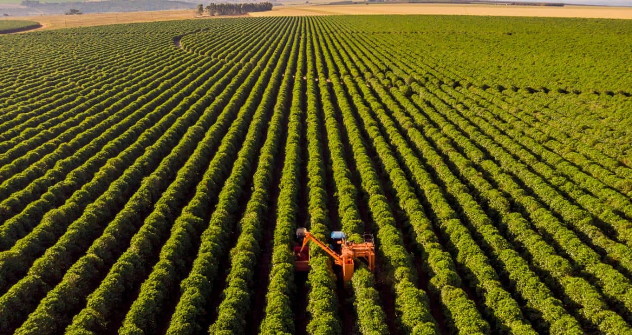 Banco do Brasil (BBAS3) vê melhora no agro com MP, mas provisões podem ficar no teto e lucro no piso do guidance