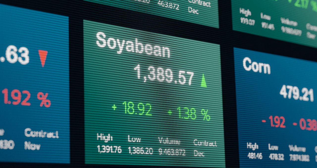 Por que Minerva (BEEF3) e SLC Agrícola (SLCE3) decolam na Bolsa nesta quinta-feira (20)?