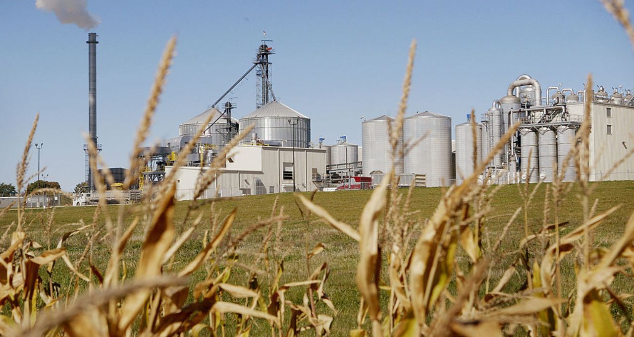 Otimismo voltou? Santander recomenda compra para 2 ações do agronegócio — e uma delas pode disparar 151%