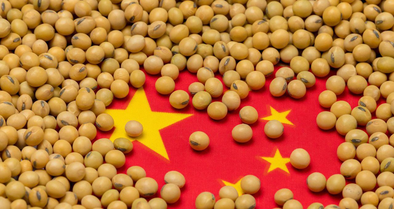 Às vésperas da visita de Xi aos EUA, esmagadoras de soja da China enfrentam custos altos e margens reduzidas