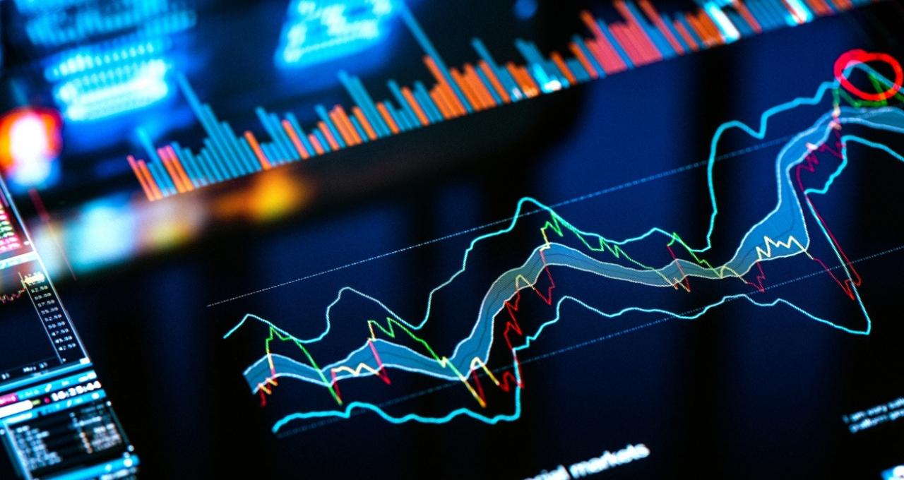 WEG (WEGE3), Suzano (SUZB3) e mais ações para investir na semana, segundo a Terra Investimentos