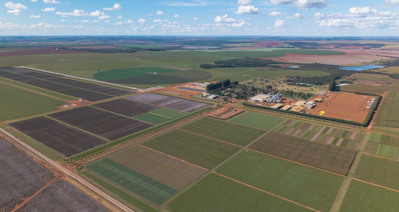 SLC Agrícola (SLCE3) aprova emissão de R$ 515,5 milhões em títulos do agronegócio; veja para onde vai o dinheiro