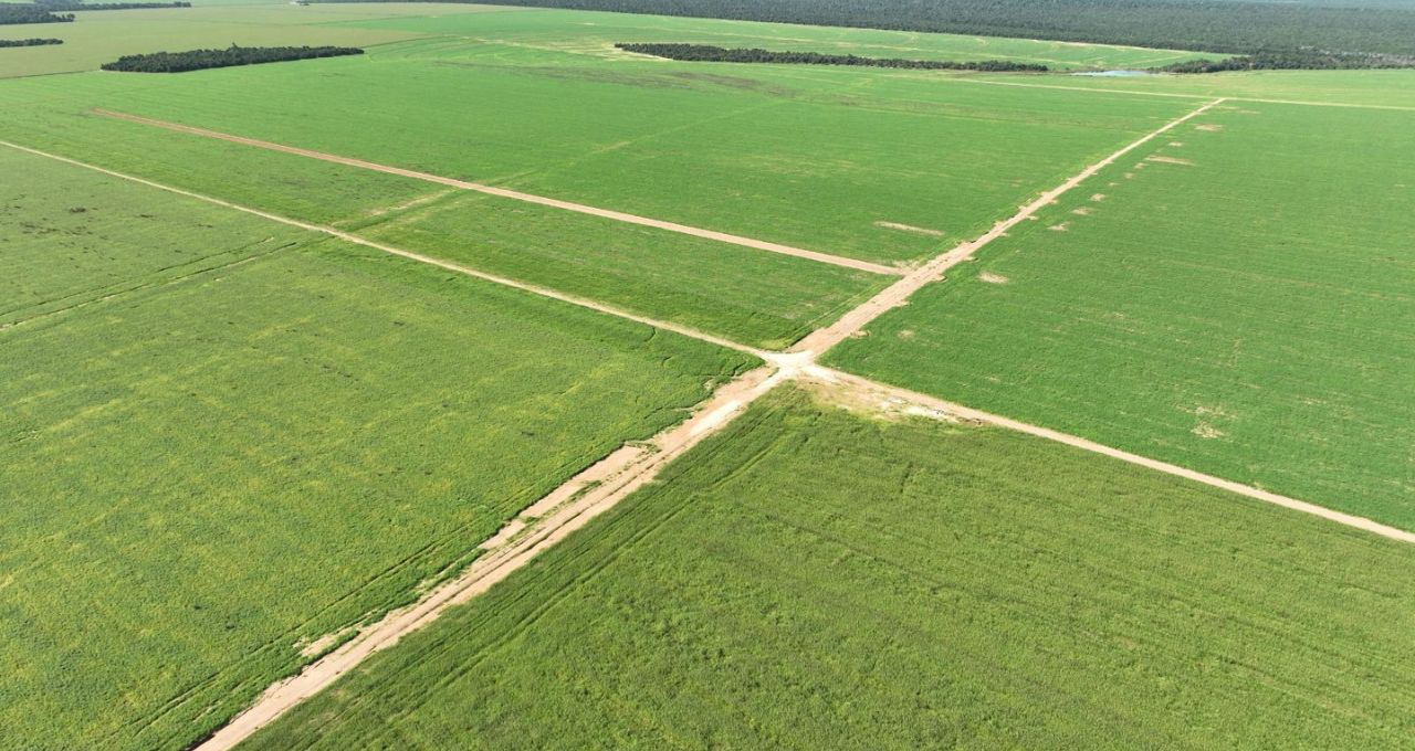 BrasilAgro (AGRO3) vende área da Fazenda Rio do Meio por R$ 96,4 milhões