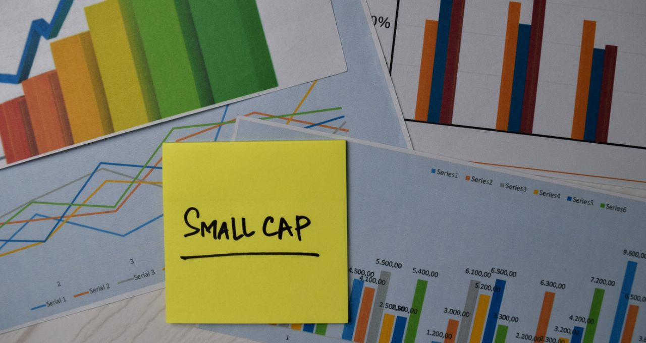 SLCE3, PGMN3, FLRY3 e outras sete small caps para investir em outubro, segundo Itaú BBA