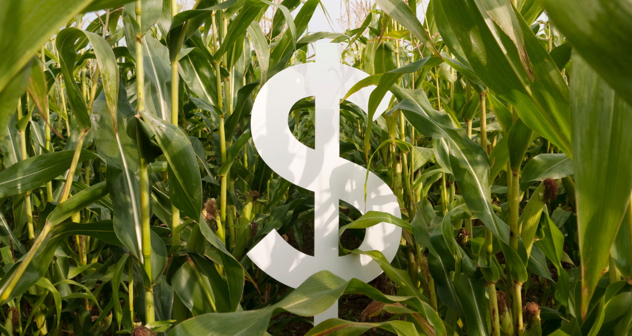 Fundo imobiliário do agronegócio vende fazenda por R$ 200 milhões e estima impacto positivo de R$ 5,78 por cota; IFIX cai
