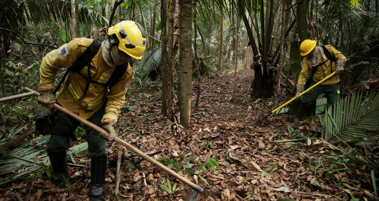 Amazônia tem menor desmatamento já registrado em quase 40 anos