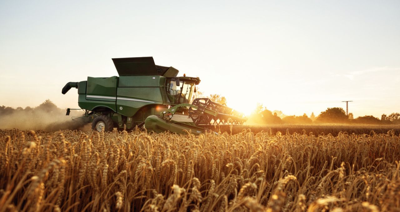 Fim da escala 6×1 pode consumir até 15% do lucro de empresas do agro, vê BTG; veja quem está mais exposto