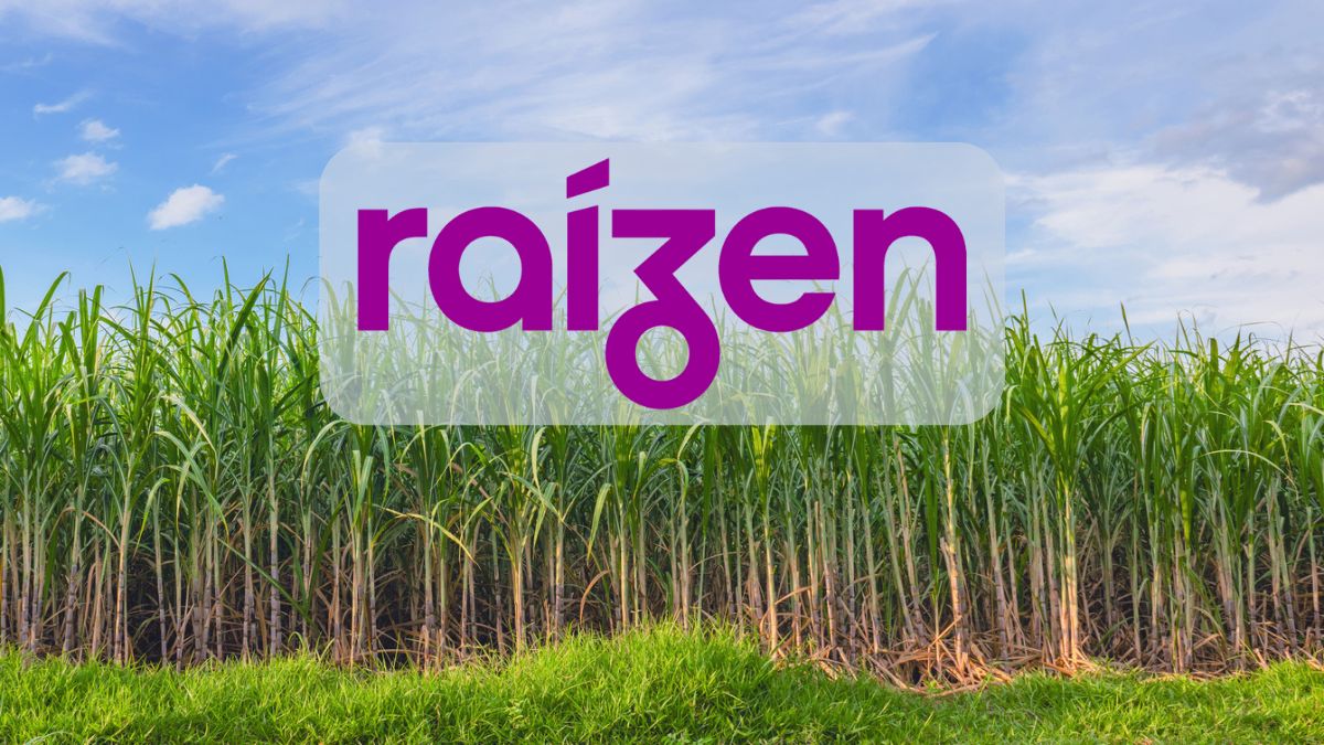 Dúvidas sobre a Raízen (RAIZ4), bolsa de olho nas eleições e balanços no radar: veja as matérias mais lidas da semana